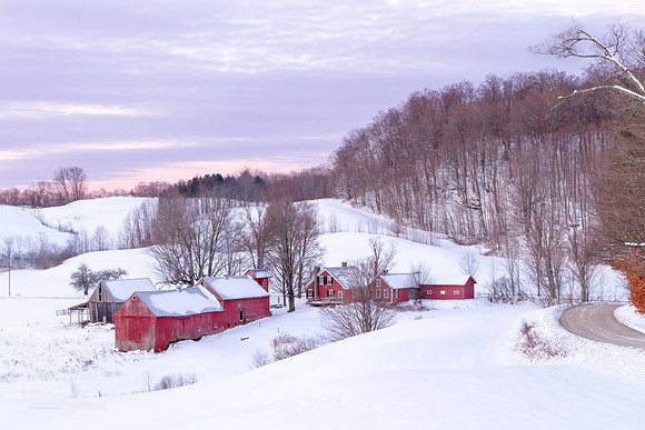Winter Morning