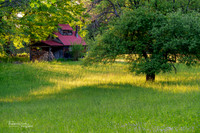 Surgar House Sunset