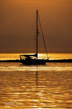 Golden Reflections