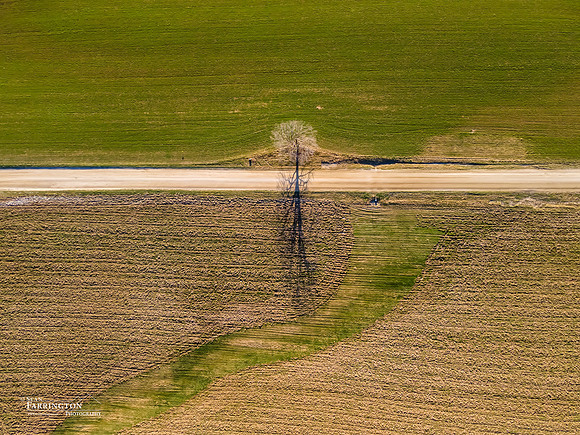 Standing Alone