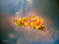 Color in the Clouds