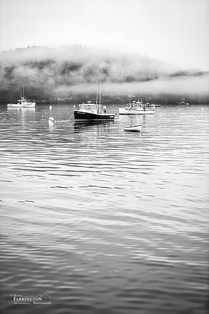 Morning Calm