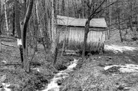 Spring Run Off