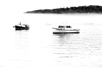 Misty Harbor