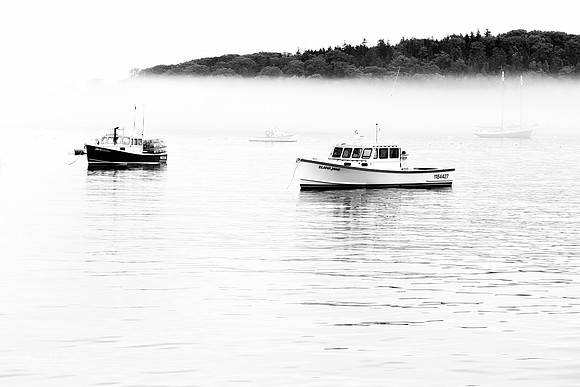 Misty Harbor