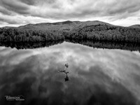 Standing Alone