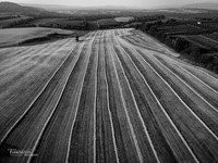 Draw The Line