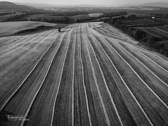Draw The Line