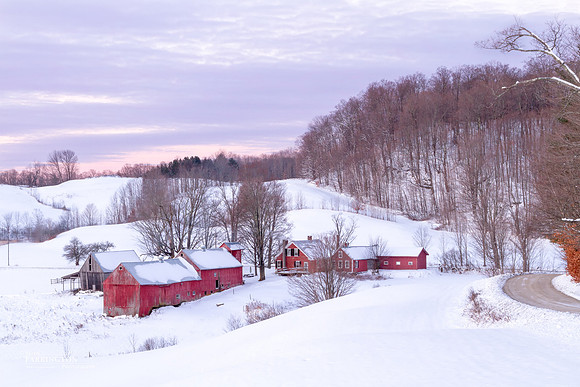 Winter Morning