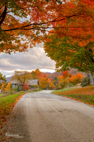 Roadway of Color