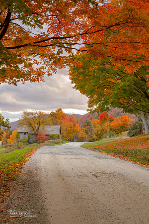 Roadway of Color