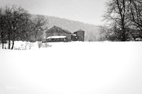 Falling Snow
