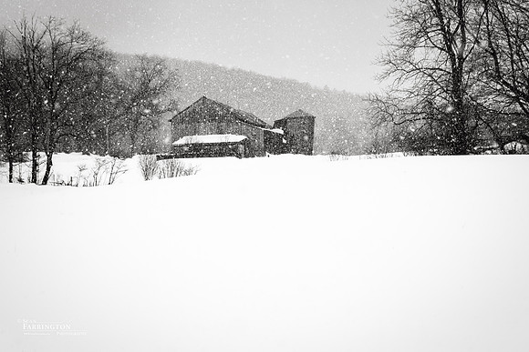 Falling Snow