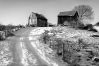 Winter Afternoon