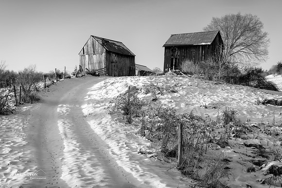 Winter Afternoon