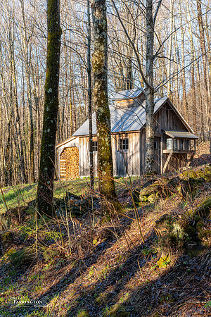 Sugar Shack
