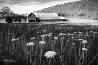 Rustic