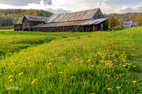 Rusted Roofs