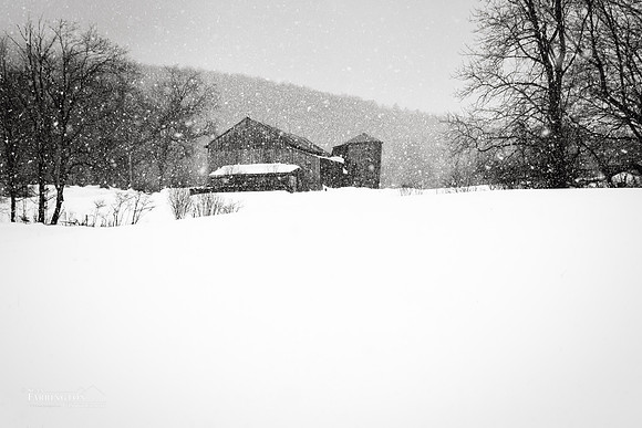 Falling Snow