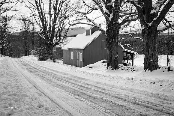 Winter Lane