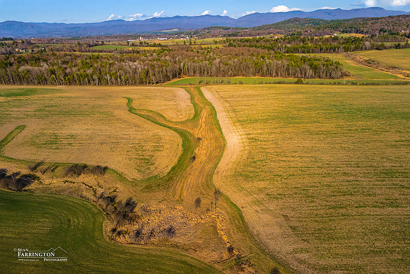 Fields