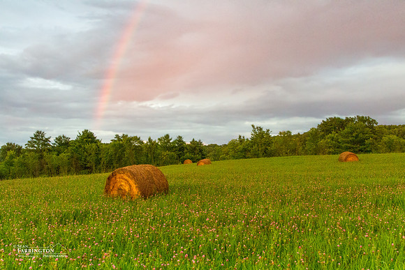 Bales & Bow