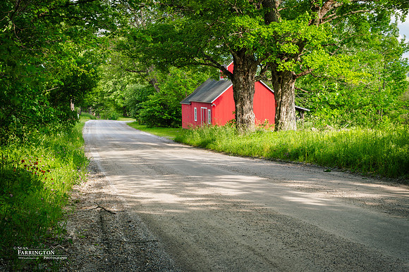 Summer Road