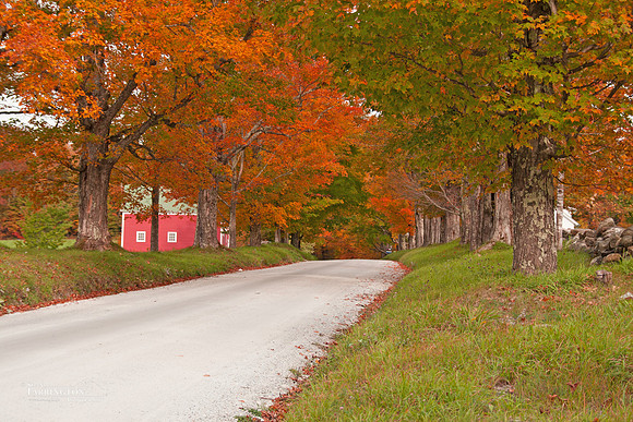 Country Road