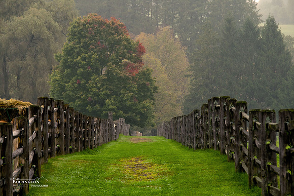Fence Row