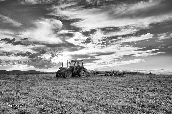 Work Horse