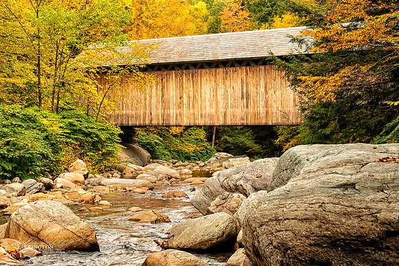 Brown Bridge