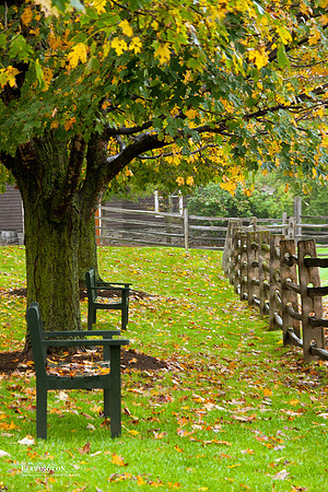 Place to Sit