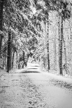 Path Ahead