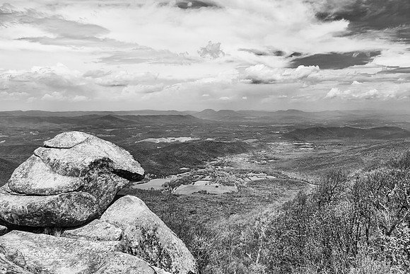 The Valley Floor