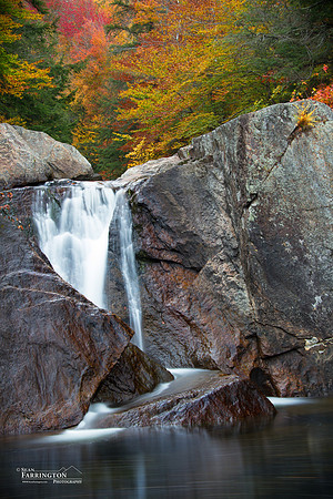 Stream of Color