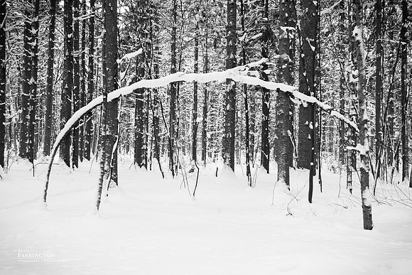 Winter's Arch
