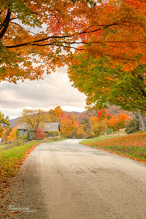 Roadway of Color