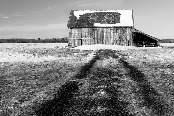 Winter Dusting