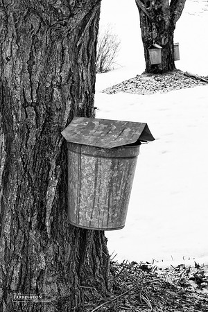 Spring collection