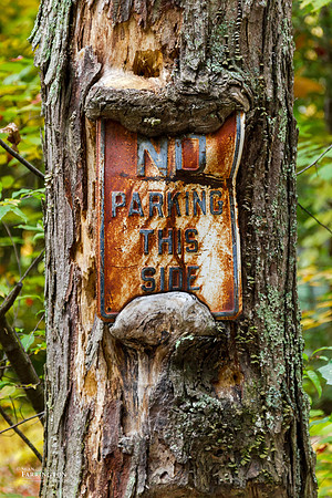 Nature's Resolve