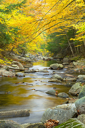 Autumn Stream