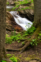 Spring Flow