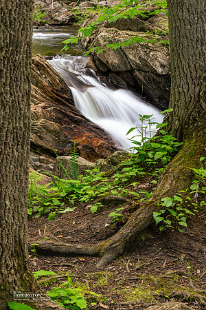 Spring Flow