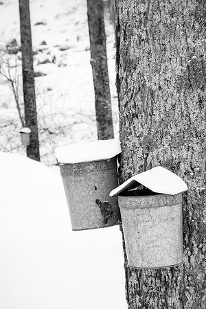 Buckets & Taps