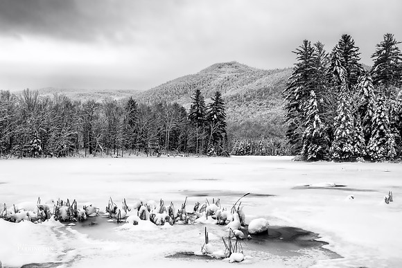 Frozen